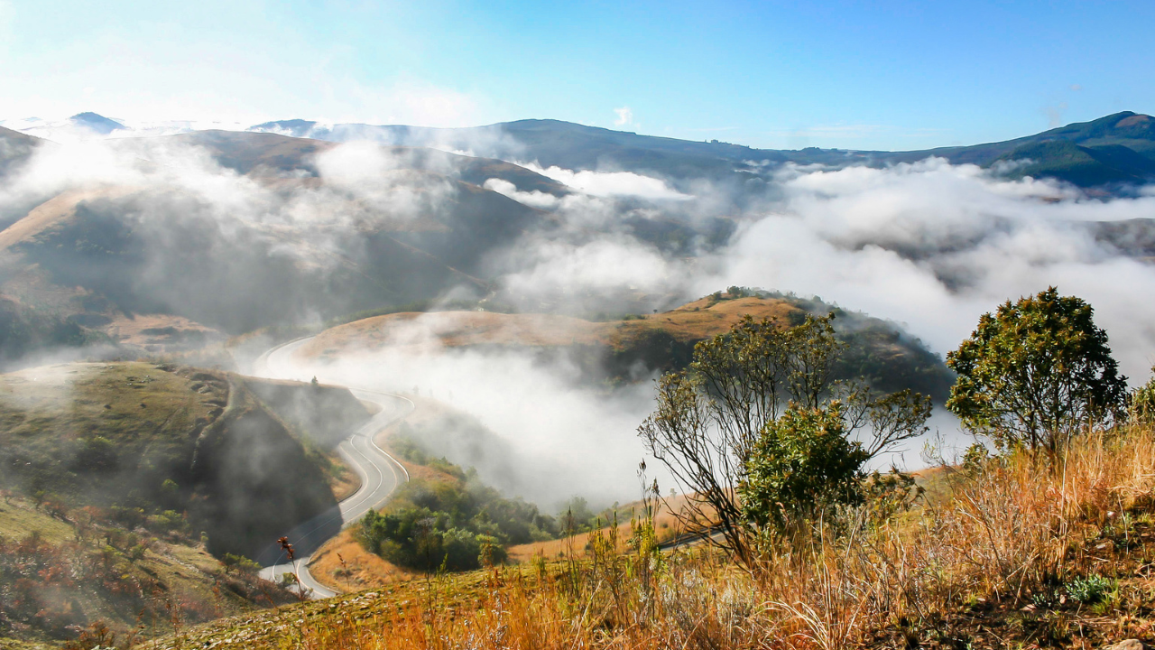ubelong-trips-misty-landscape-south-africa